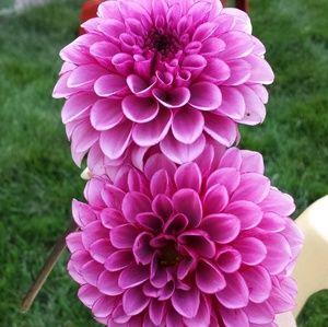 Meet your Posher, Kristine